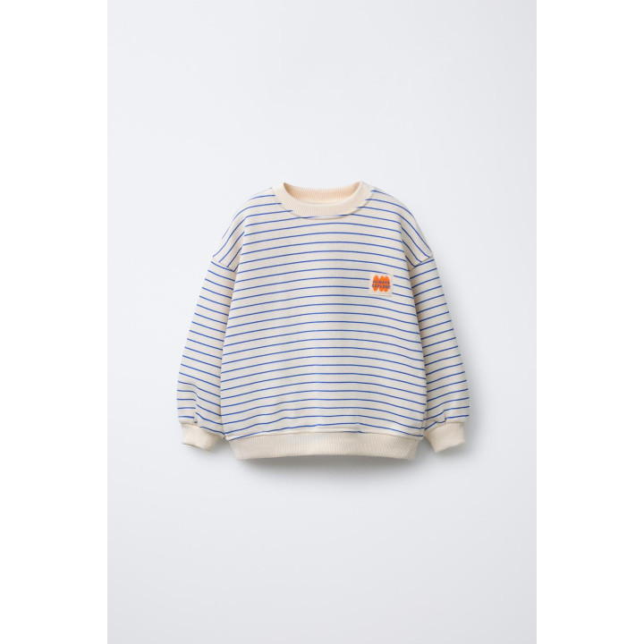 ТОЛСТОВКА В ПОЛОСКУ