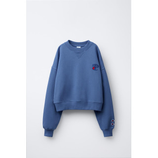 ТОЛСТОВКА С ВЫШИВКОЙ CHAMPION ® X ZARA