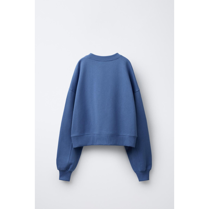 ТОЛСТОВКА С ВЫШИВКОЙ CHAMPION ® X ZARA