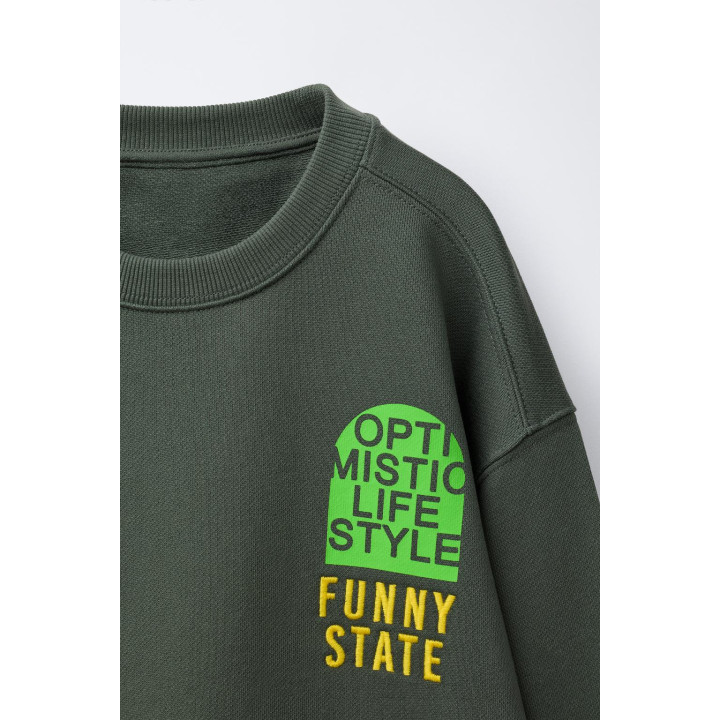 ТОЛСТОВКА С ПРИНТОМ