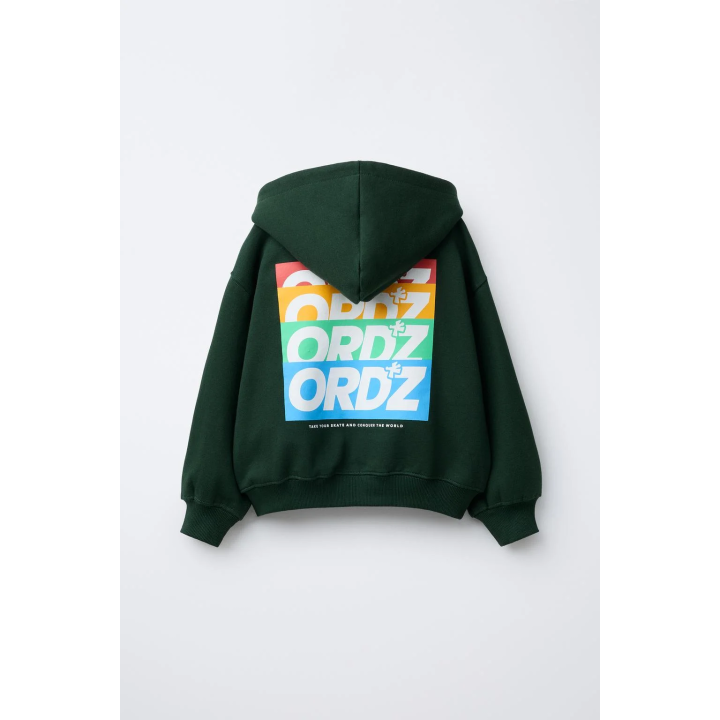 ТОЛСТОВКА НА МОЛНИИ С НАДПИСЬЮ