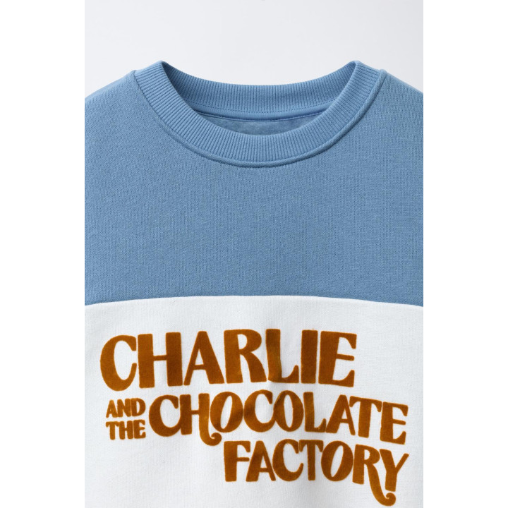 Толстовка с принтом charlie and the chocolate factory roald dahl ©