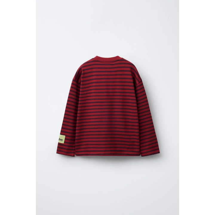 ЛОНГСЛИВ В ПОЛОСКУ С НАДПИСЬЮ