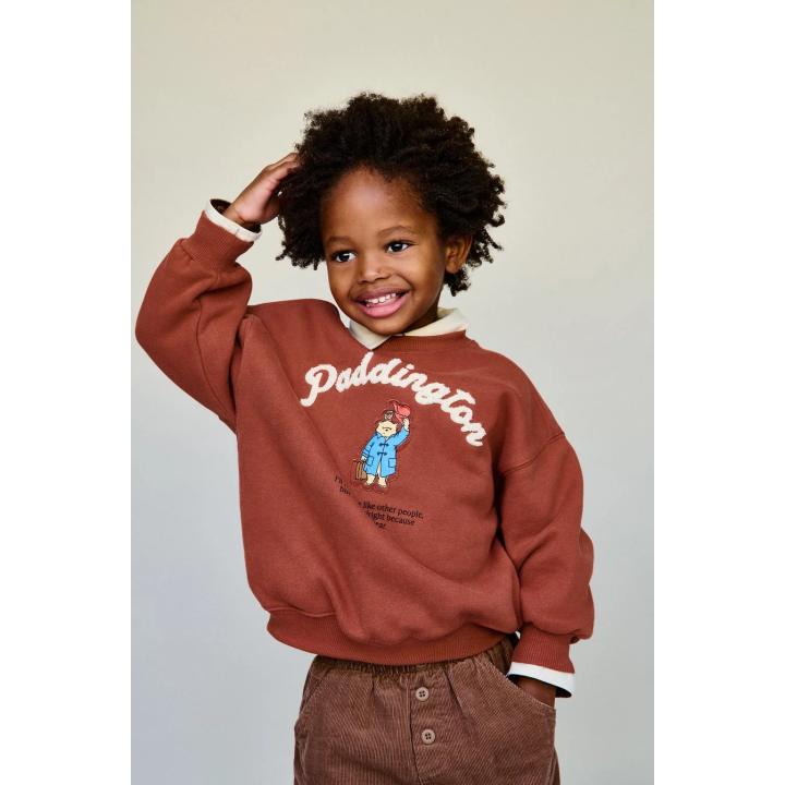 ТОЛСТОВКА С ПРИНТОМ PADDINGTON ™
