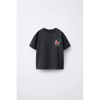 ФУТБОЛКА С ПРИНТОМ