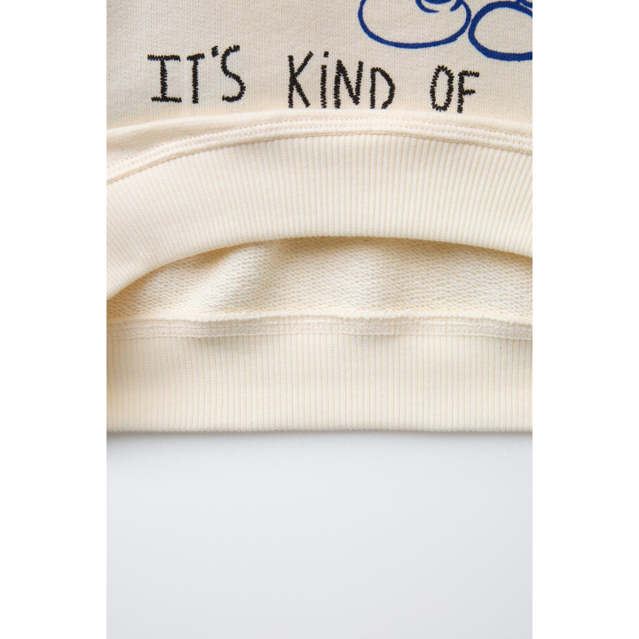 ТОЛСТОВКА MICKEY MOUSE © DISNEY