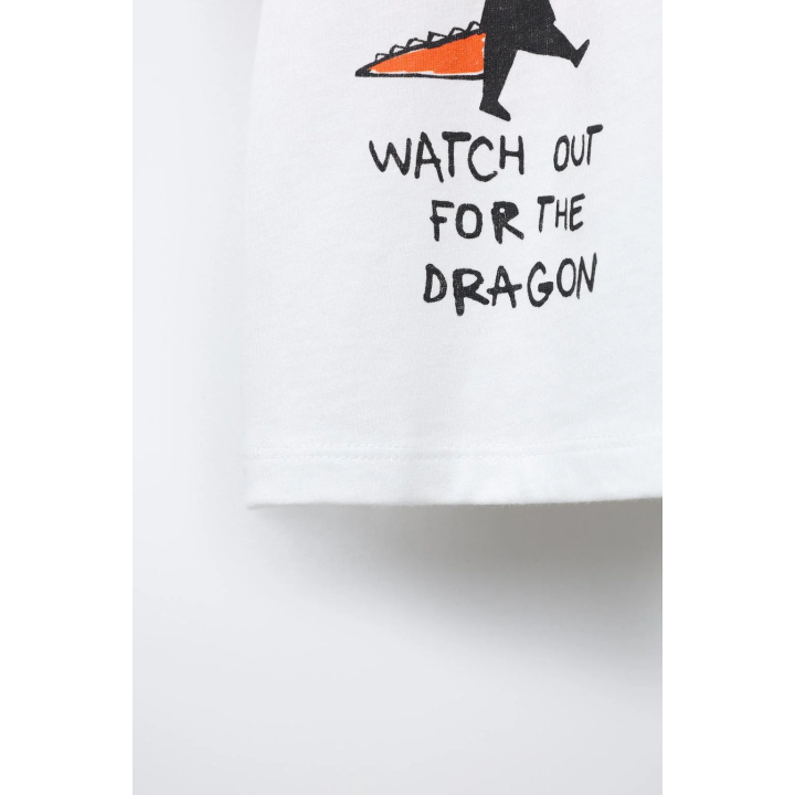 ФУТБОЛКА С ПРИНТОМ