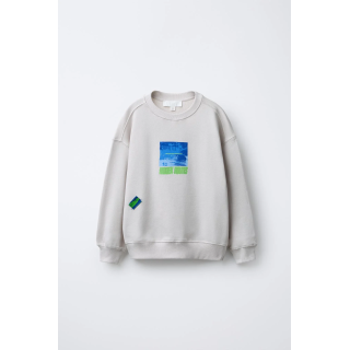 ТОЛСТОВКА С ПРИНТОМ И НАШИВКОЙ