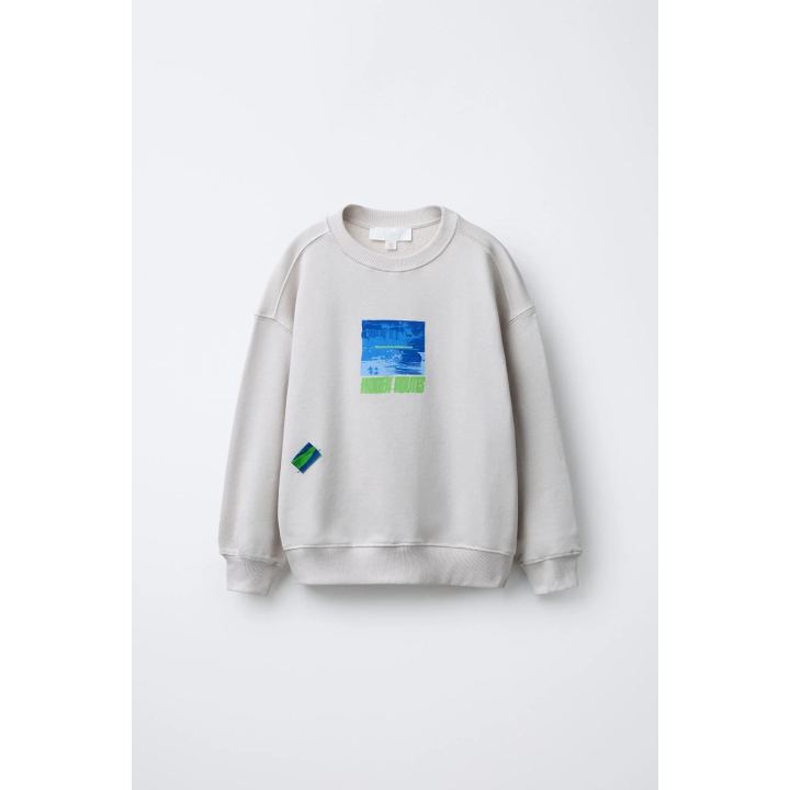 ТОЛСТОВКА С ПРИНТОМ И НАШИВКОЙ