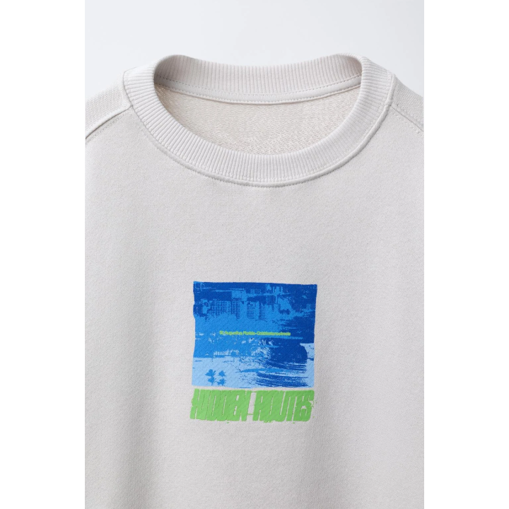 ТОЛСТОВКА С ПРИНТОМ И НАШИВКОЙ