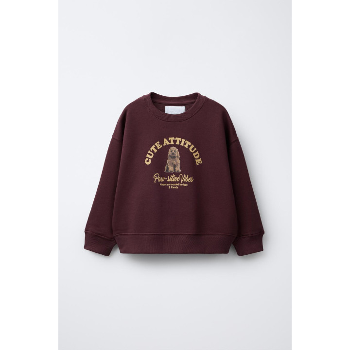 ТОЛСТОВКА С ПРИНТОМ СОБАКИ