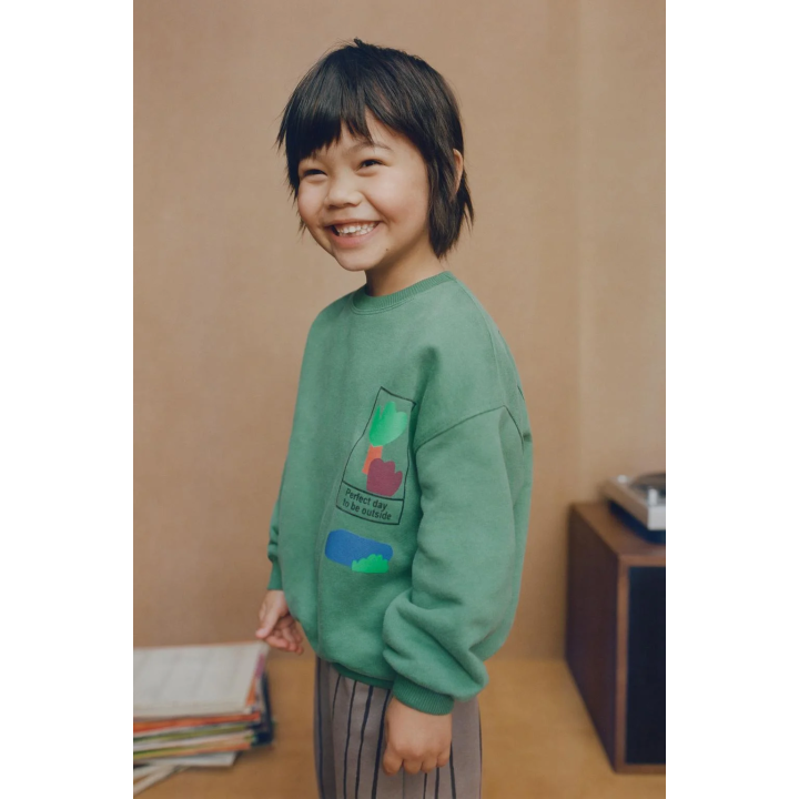 ТОЛСТОВКА С ПРИНТОМ «ПАРК»