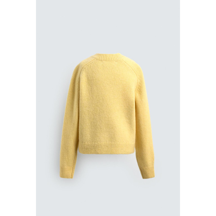 ШЕРСТЯНОЙ ДЖЕМПЕР PLUTO HARRY LAMBERT FOR ZARA X DISNEY