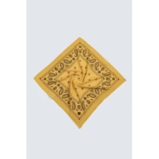 БАНДАНА С ПРИНТОМ ПЕЙСЛИ