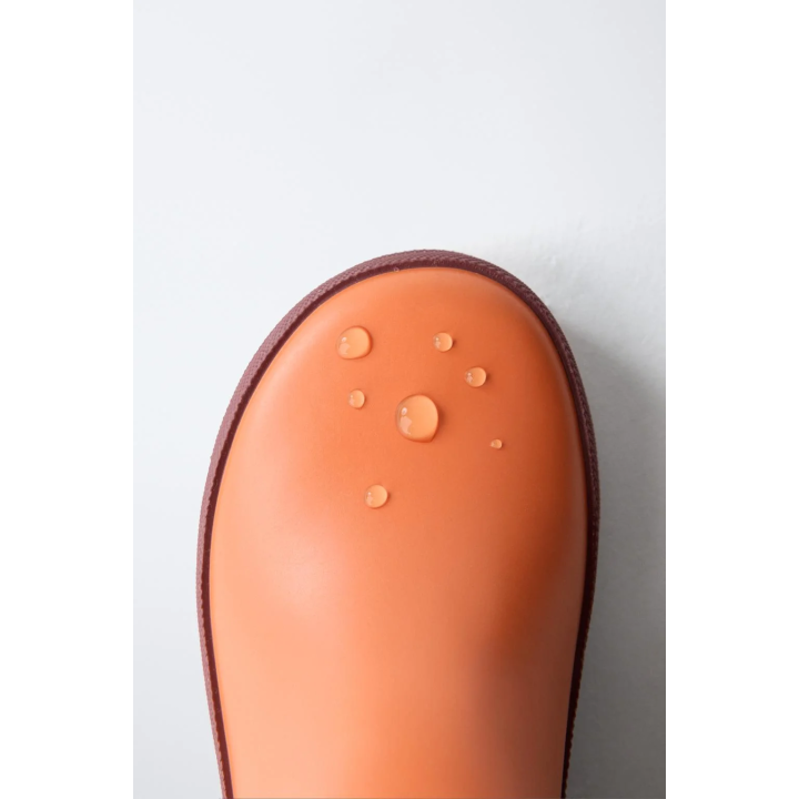 Резиновые сапоги в полоску