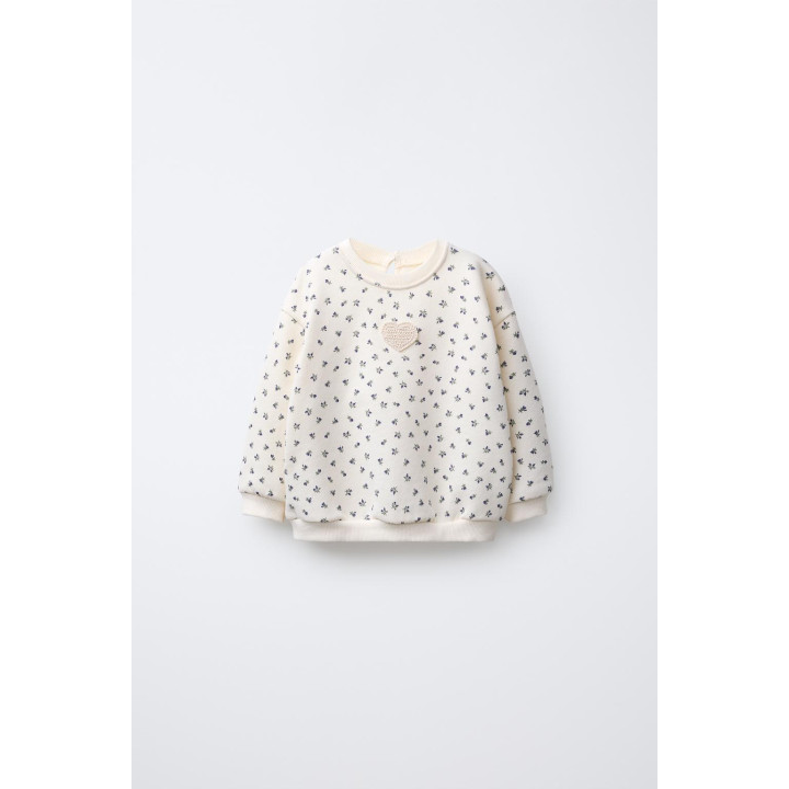 ТОЛСТОВКА С ПРИНТОМ