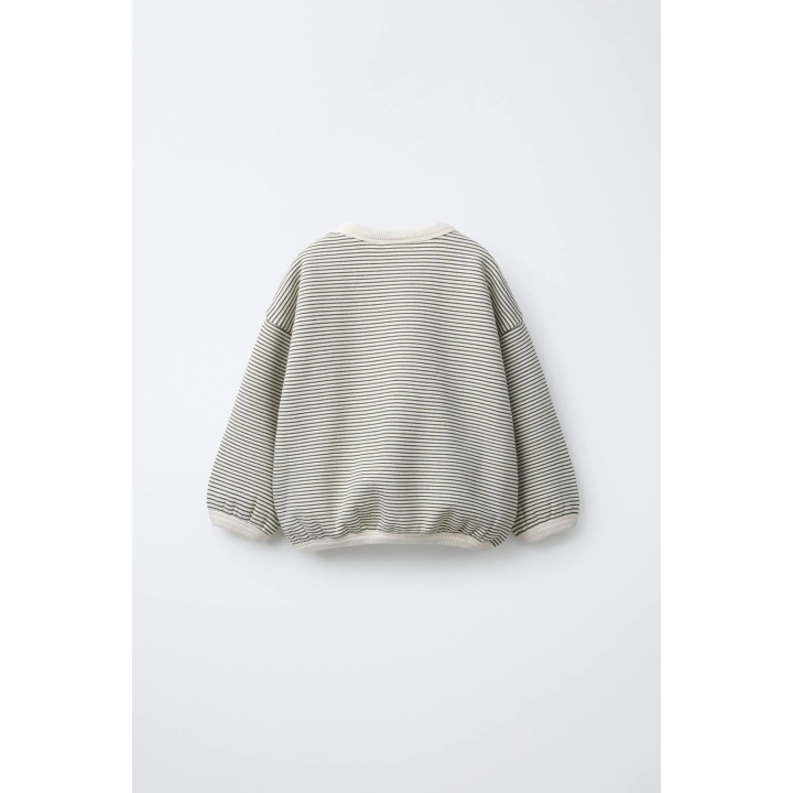 Свитшот с тонкими полосками