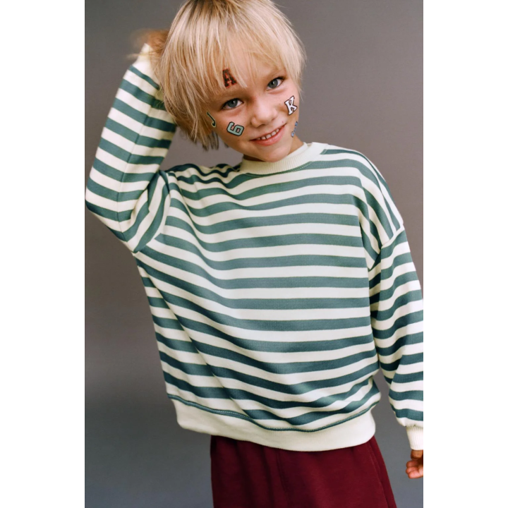 ТОЛСТОВКА В ПОЛОСКУ