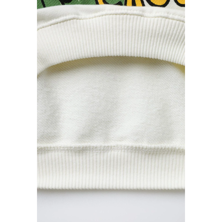 ТОЛСТОВКА С ПРИНТОМ «КРОКОДИЛ»