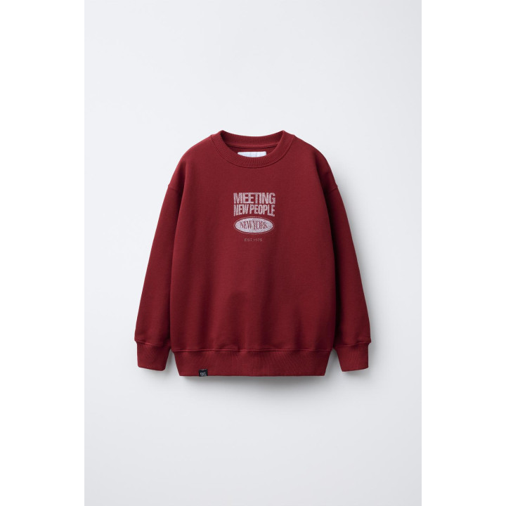 ТОЛСТОВКА С ТЕКСТОВЫМ ПРИНТОМ