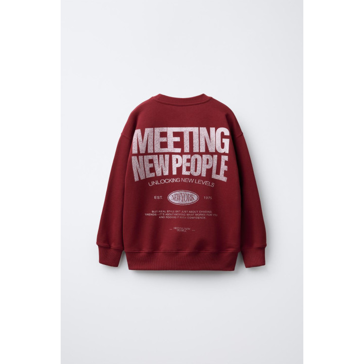 ТОЛСТОВКА С ТЕКСТОВЫМ ПРИНТОМ