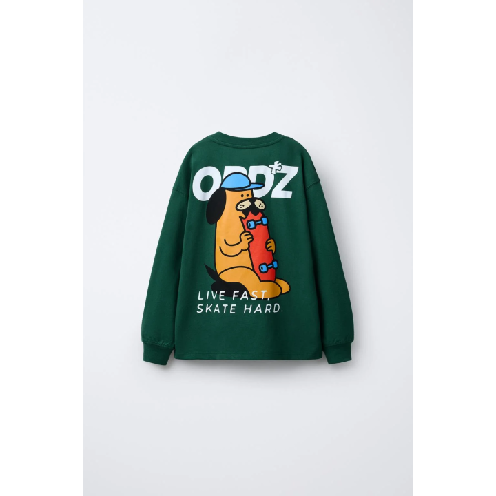 ФУТБОЛКА С ПРИНТОМ «СКЕЙТ»