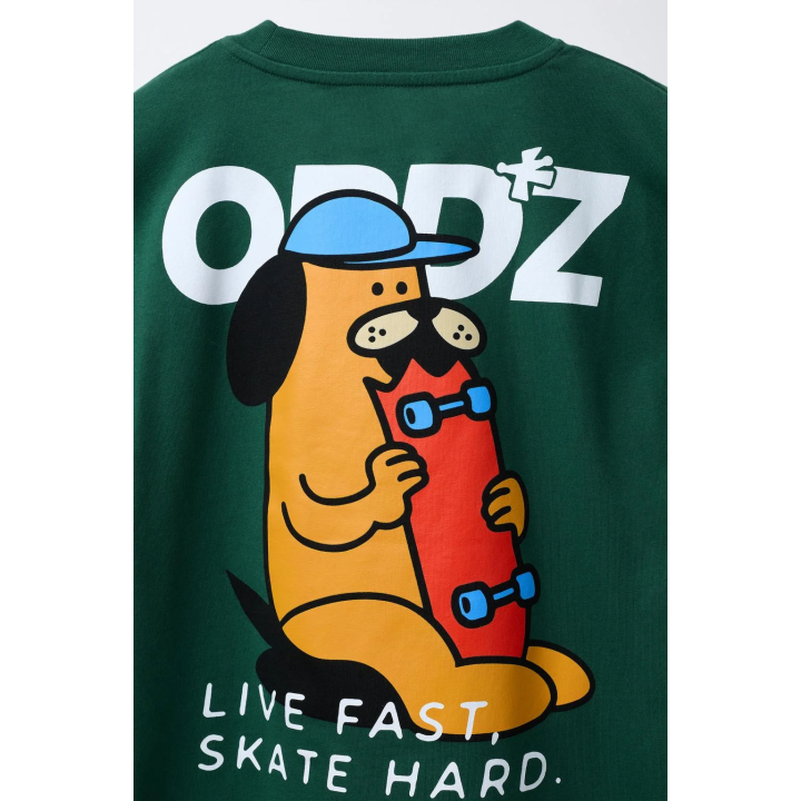 ФУТБОЛКА С ПРИНТОМ «СКЕЙТ»