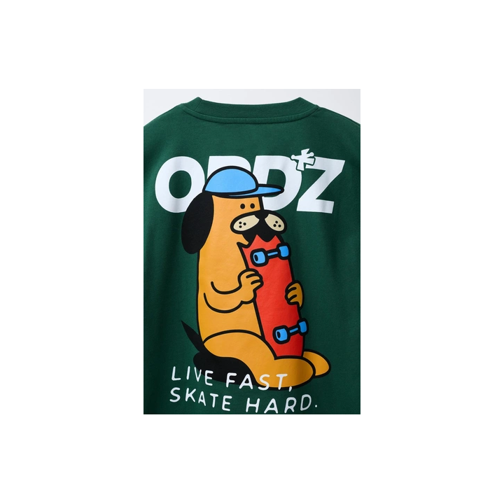 ФУТБОЛКА С ПРИНТОМ «СКЕЙТ»