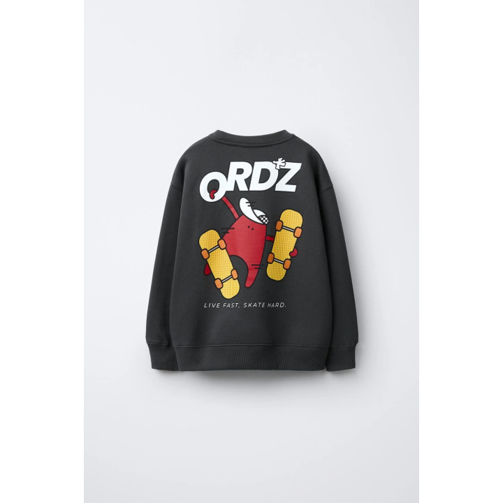 ТОЛСТОВКА С ПРИНТОМ «СКЕЙТ»