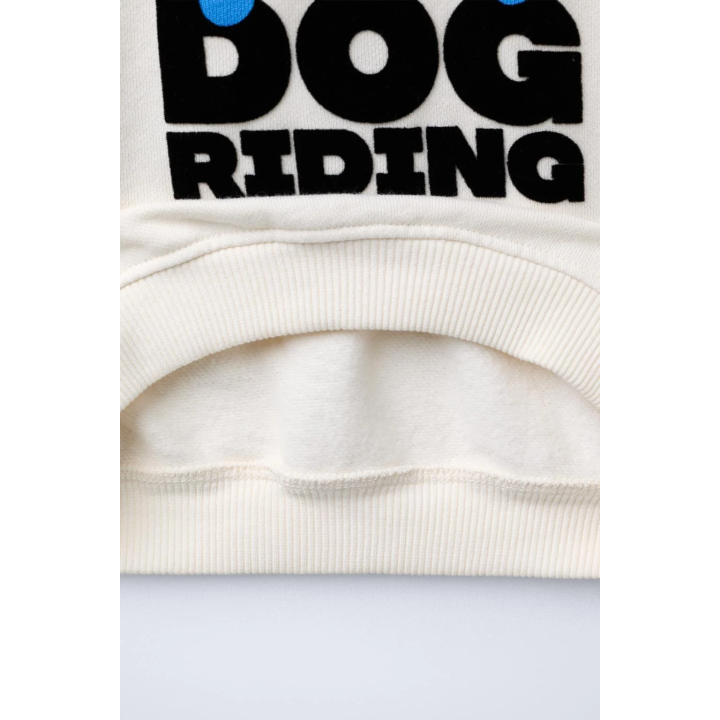 Свитшот с принтом собаки и бархатным слоганом