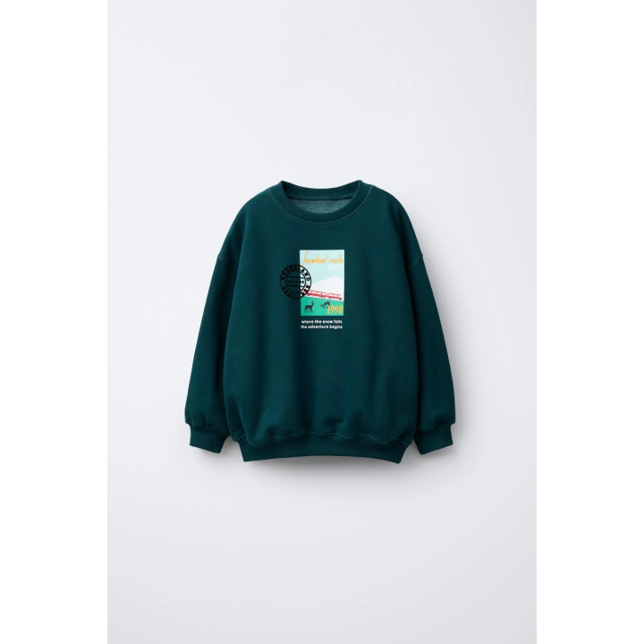 Свитшот с принтом snowland