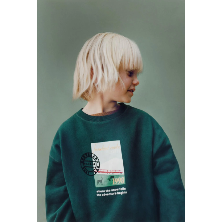 Свитшот с принтом snowland