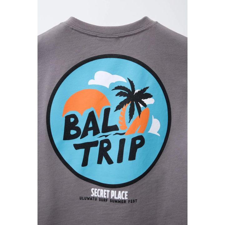 ФУТБОЛКА С ПРИНТОМ «СЕРФИНГ»