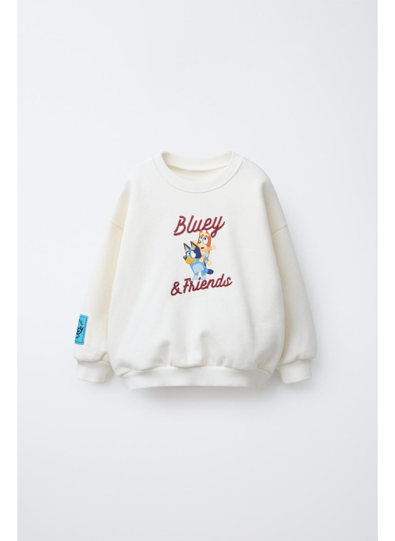 ТОЛСТОВКА С ВЫШИВКОЙ BLUEY © LU...