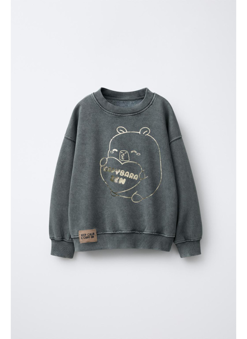 Свитшот с яркой вышивкой capy...