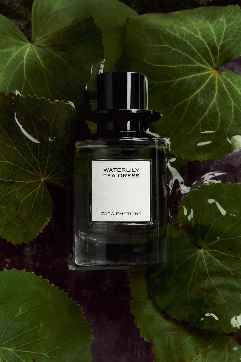 Waterlily Tea Dress edp 100 мл (3.4 fl. oz.)