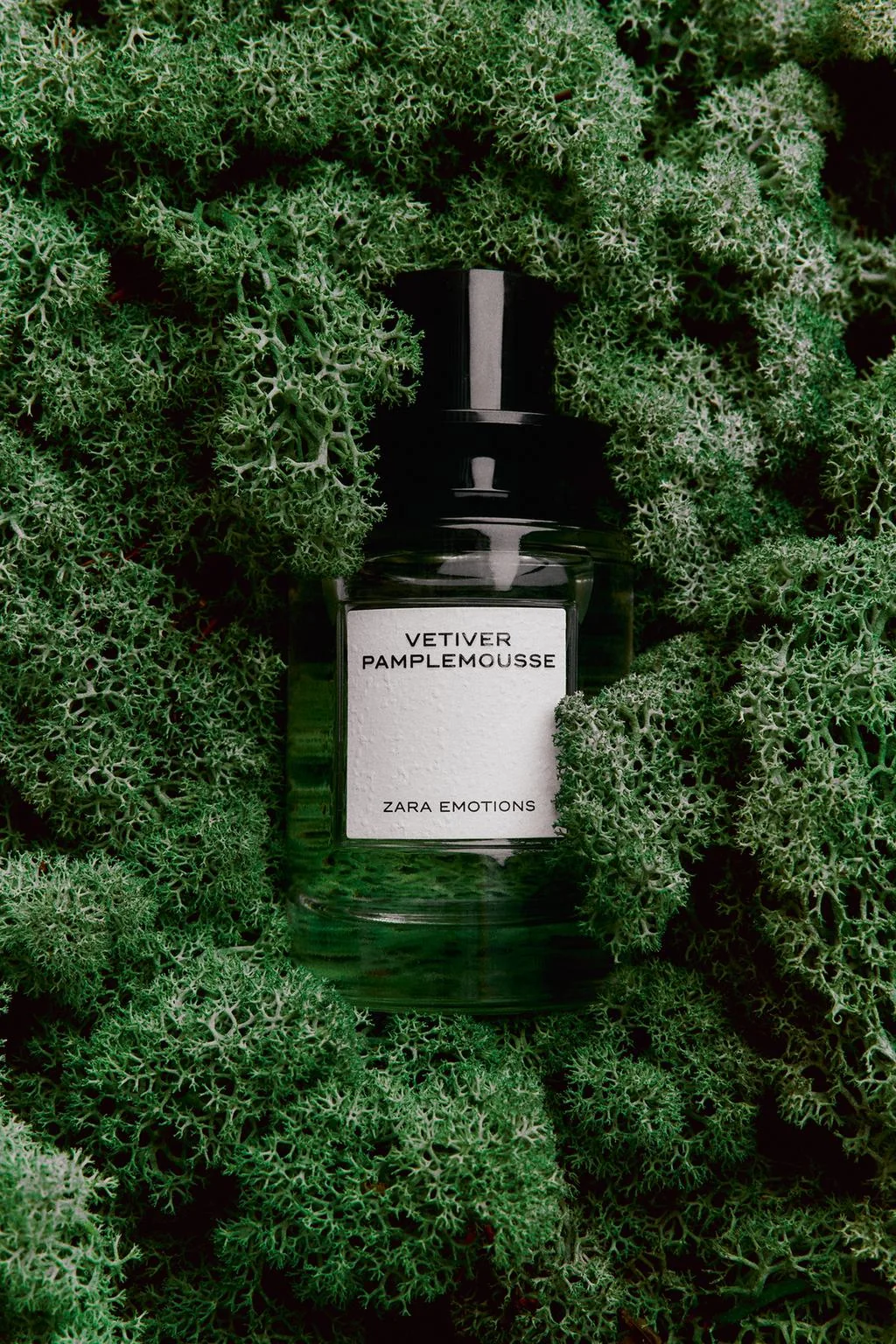Парфюмерная вода Vetiver Pamplemousse, 100 мл