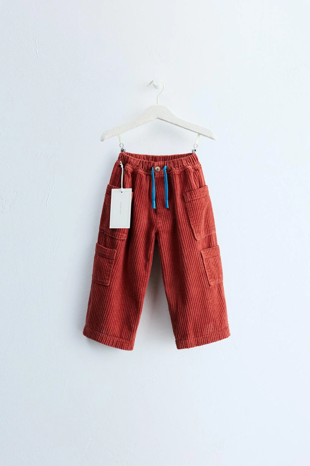ZARA TIMELESS - карго-брюки из вельвета
