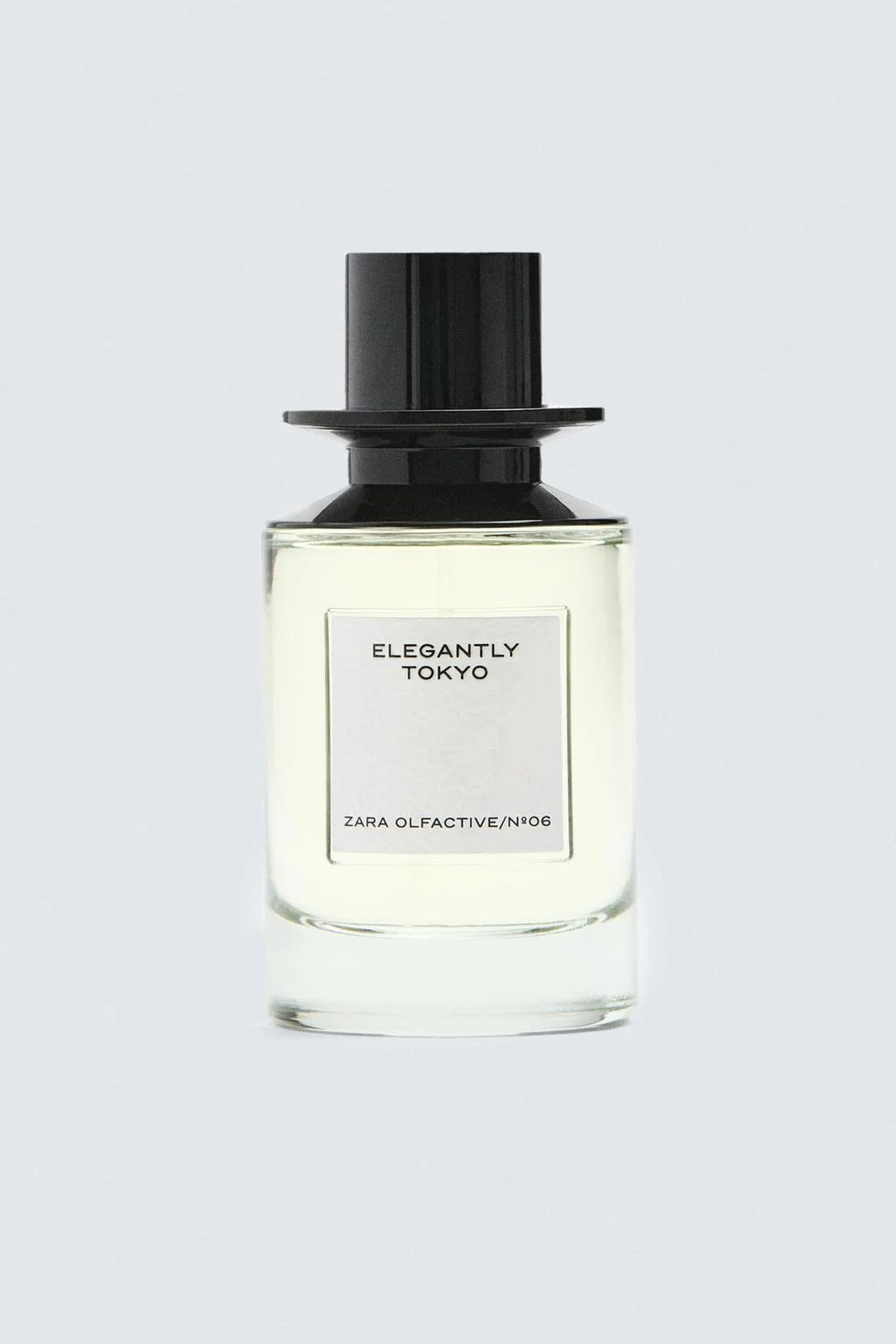 ELEGANTLY TOKYO EDP 100 мл — Мужское