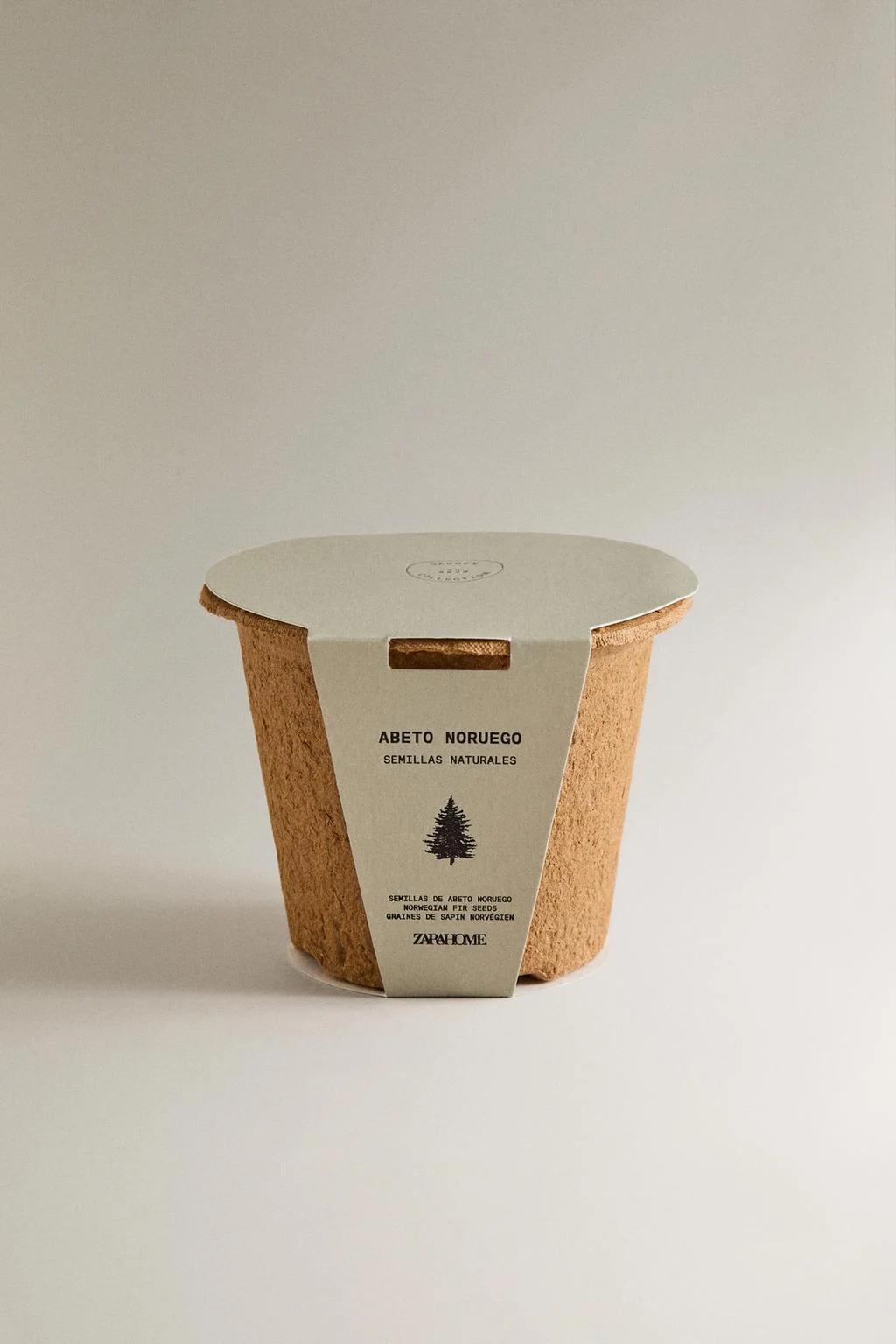 Набор для выращивания семян ели — Новинки