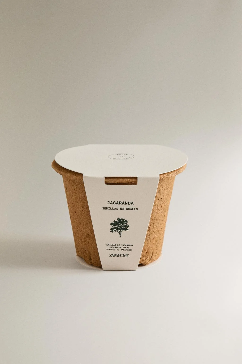 Набор для выращивания семян якаранды — Новинки