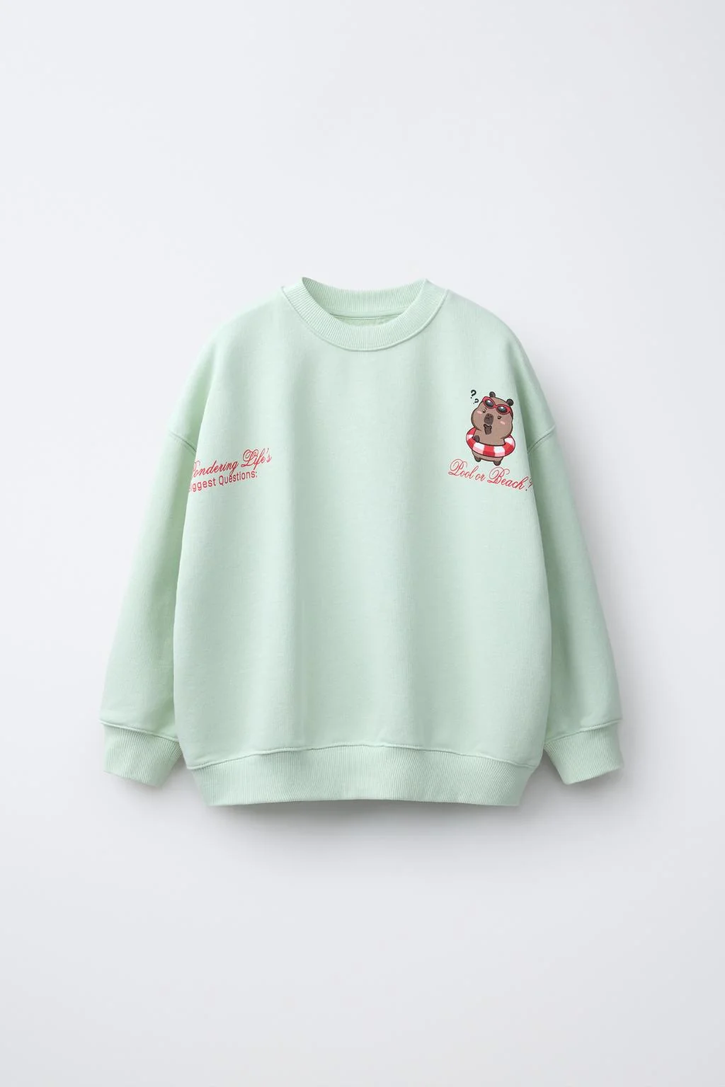 Свитшот с принтом CAPIBARA CAPYFUN © — Персонажи