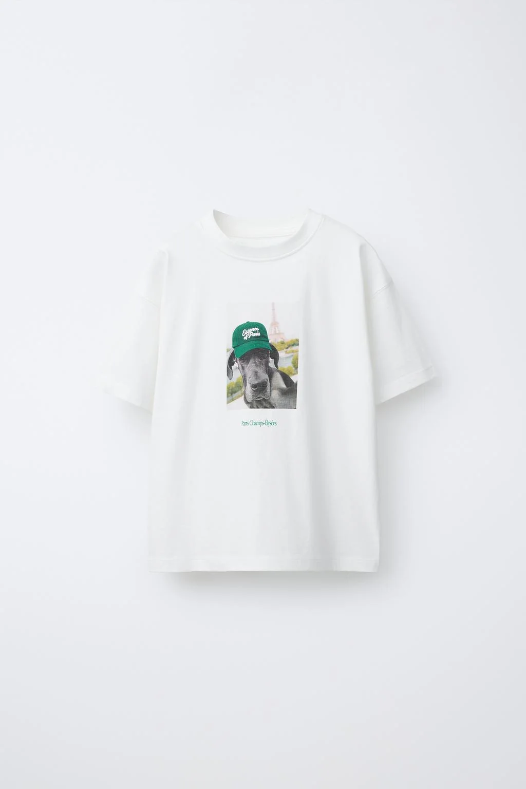 Футболка с принтом собаки