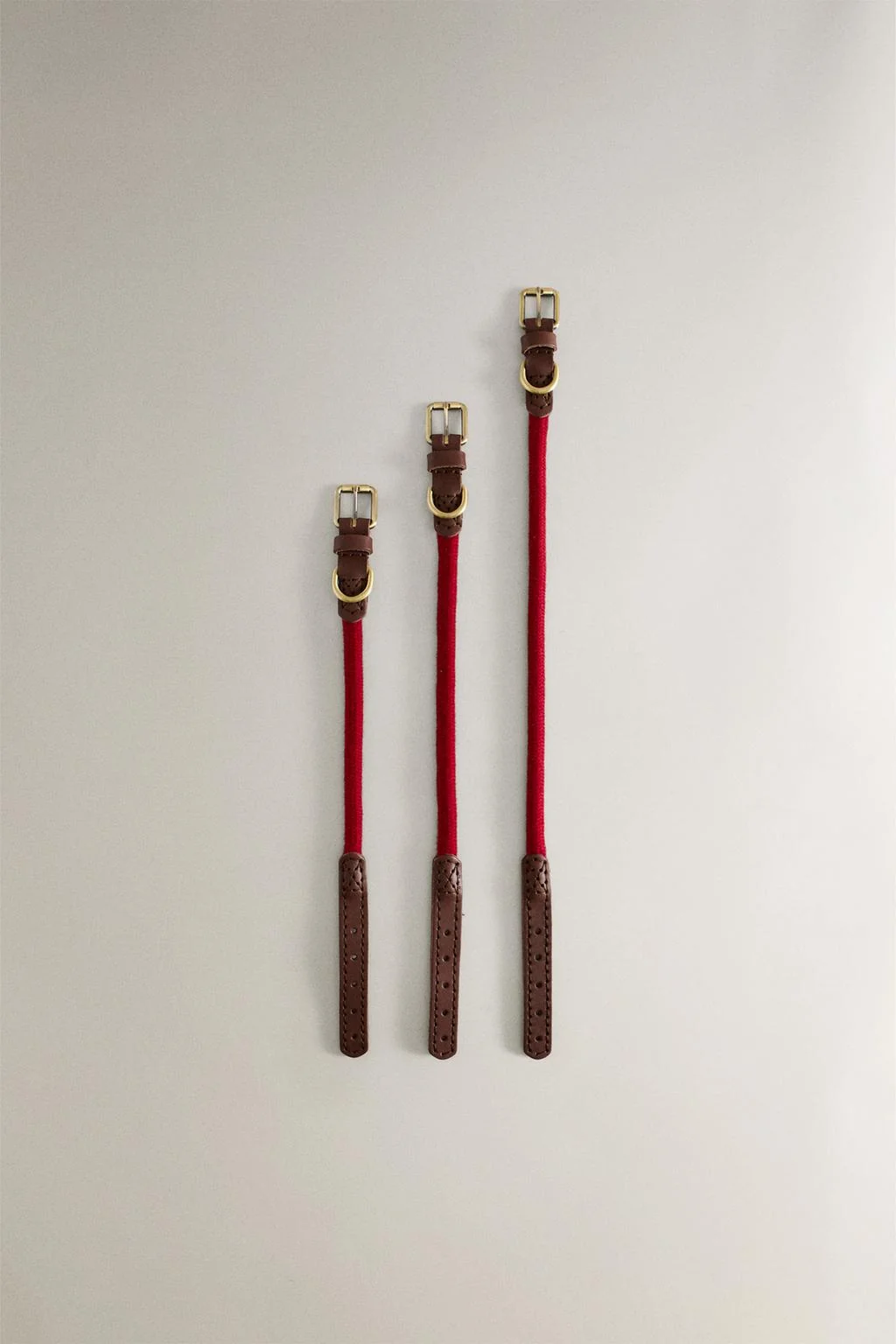 Кожаный ошейник для собаки с верёвкой