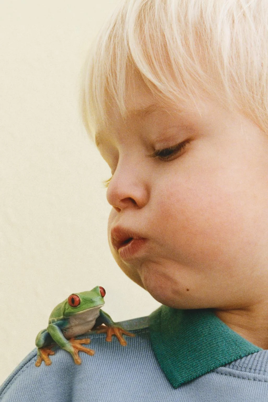 Свитшот с вышивкой животных