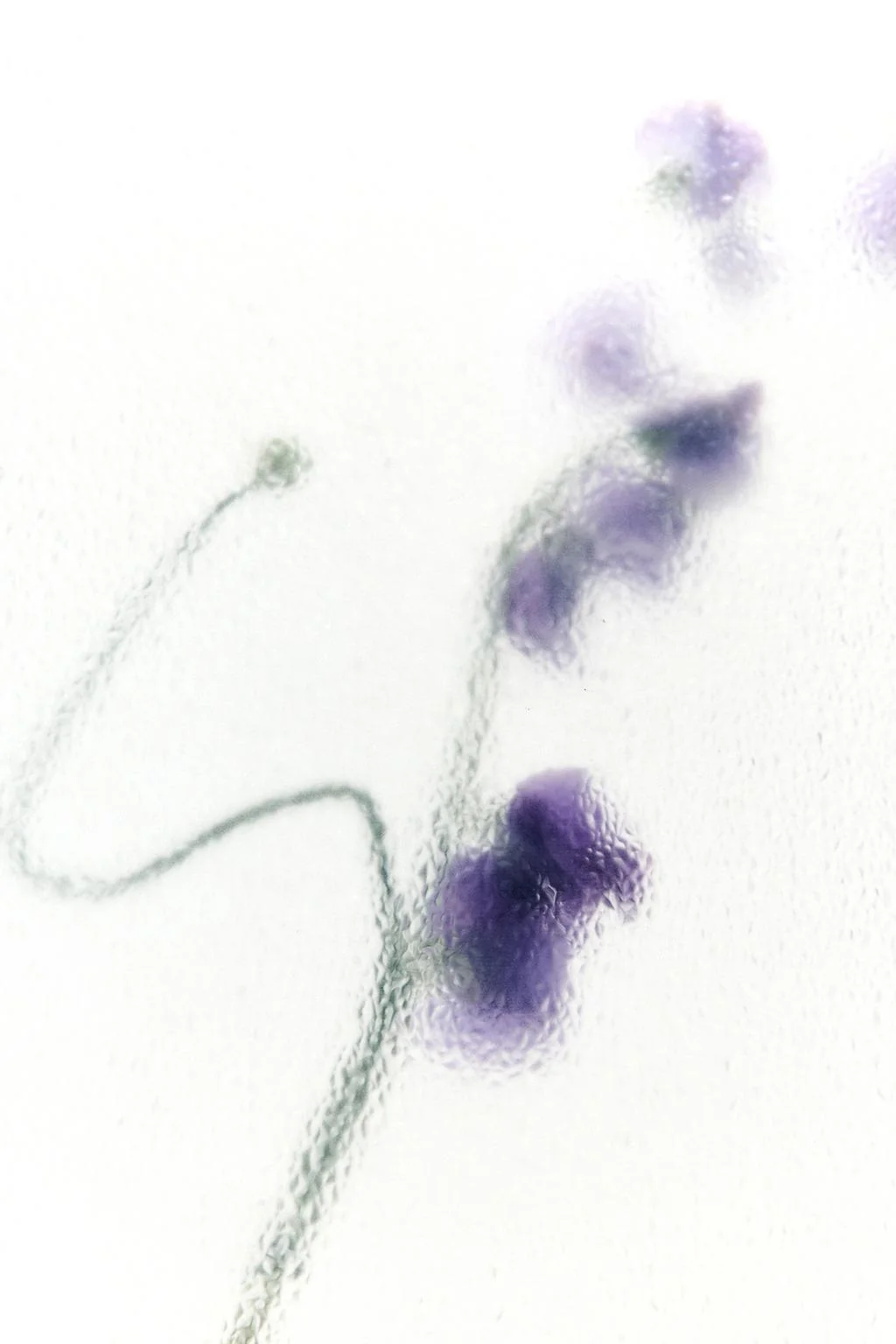 NUDE BOUQUET SUMMER EDP 100ML (3.4 FL. OZ) — SHADES OF WHITE