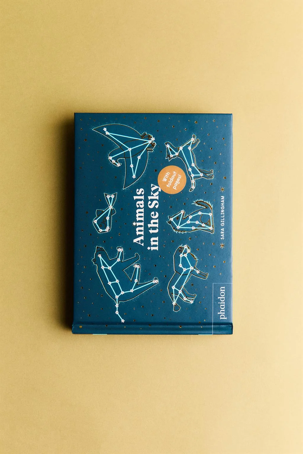 Книга для детей Животные в небе (английский)