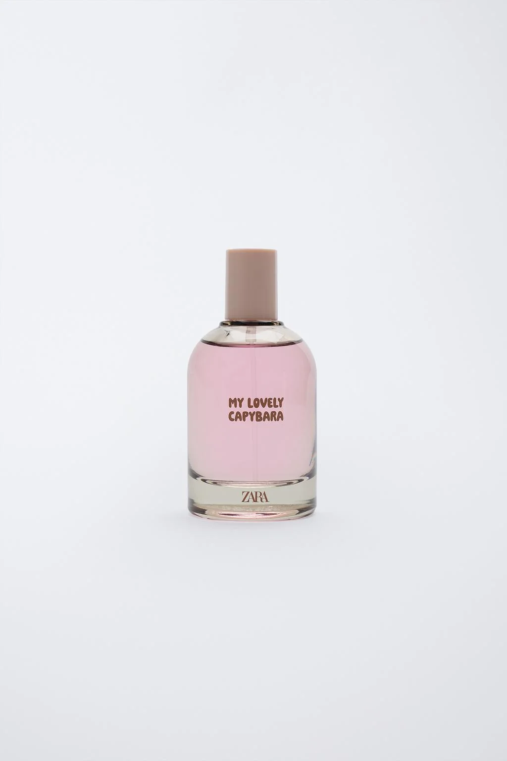 MY LOVELY CAPYBARA EDT 80 мл