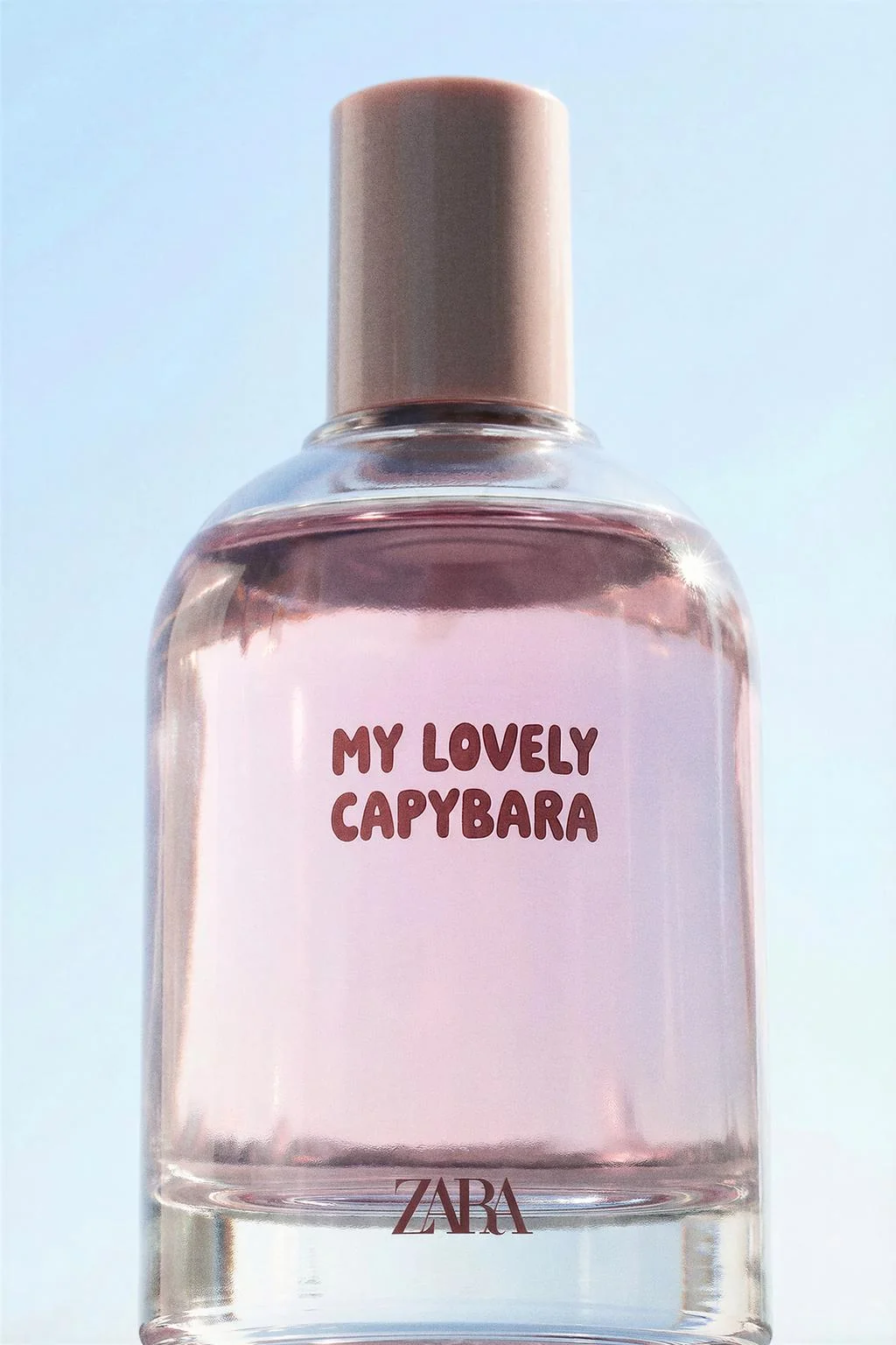 MY LOVELY CAPYBARA EDT 80 мл