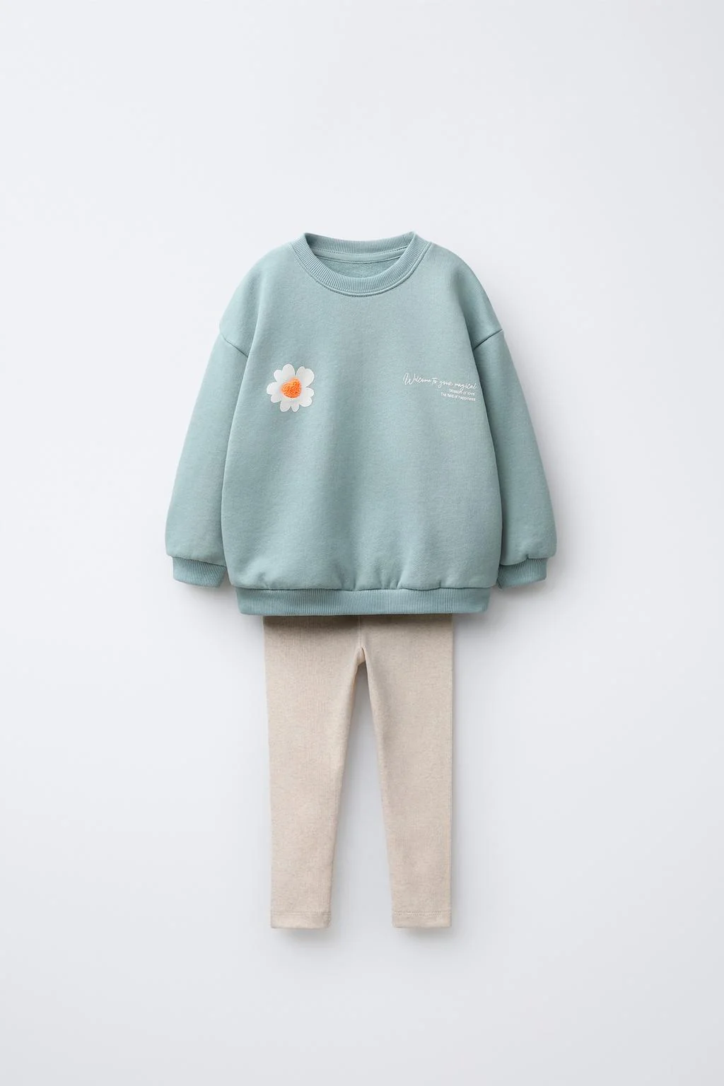 Набор: свитшот и леггинсы — Леггинсы